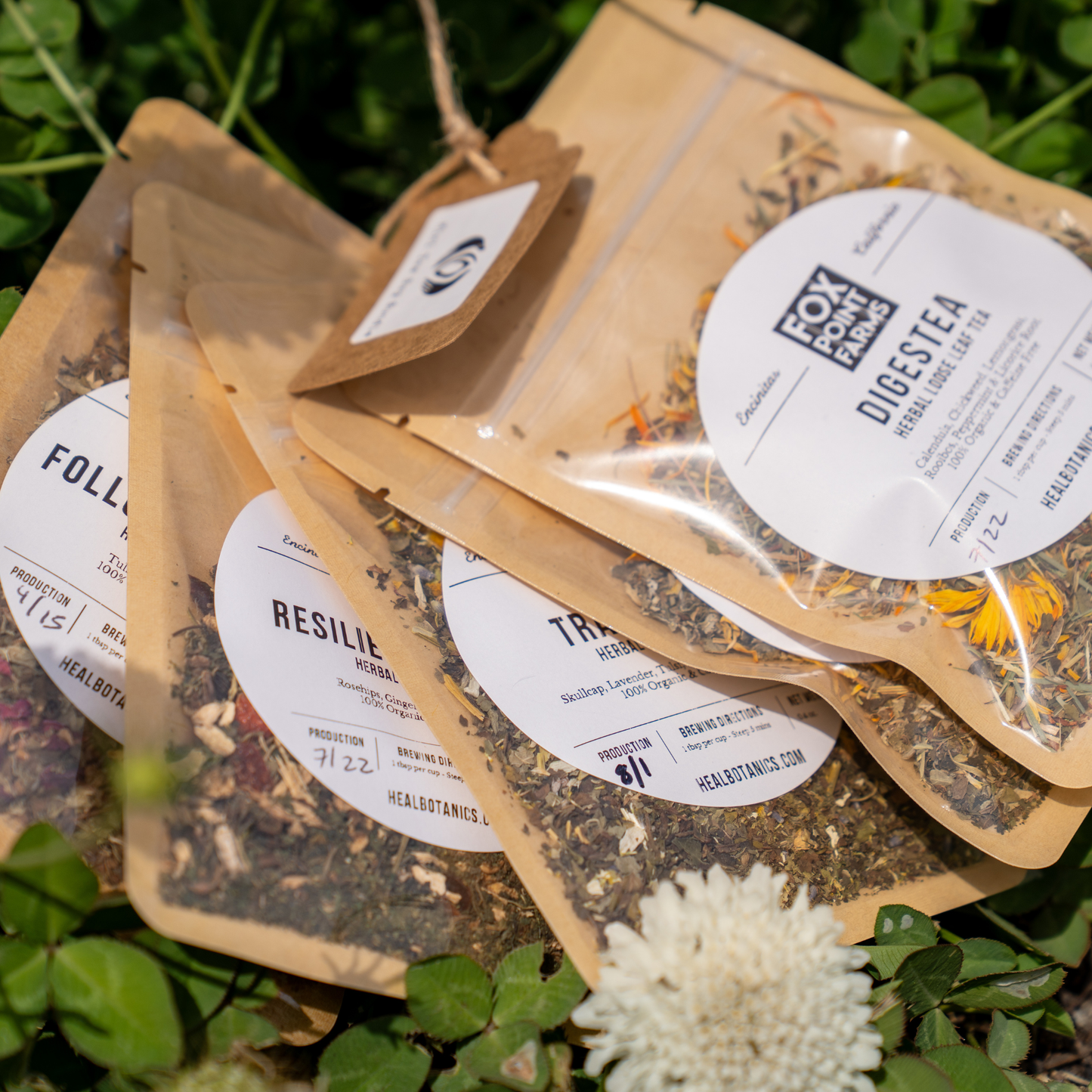 Mini Tea Variety Bundle