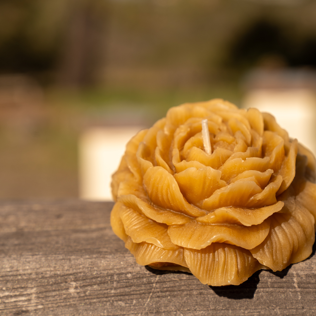 Beeswax Rose Candle