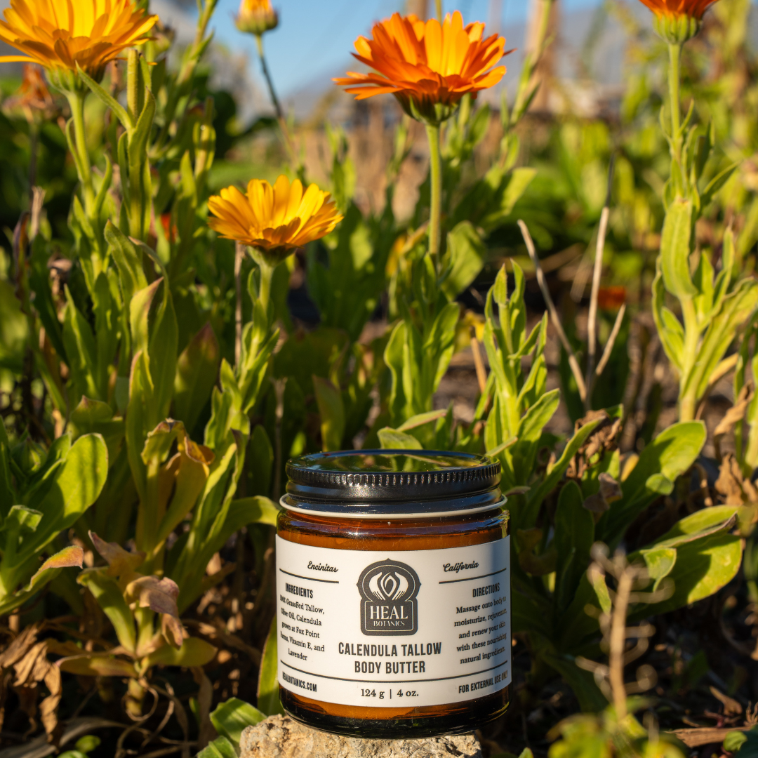Calendula Tallow Body Butter