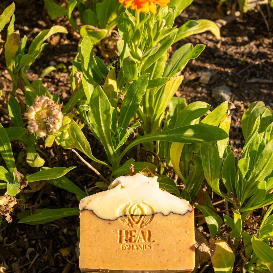 Calendula Bergamot Soap