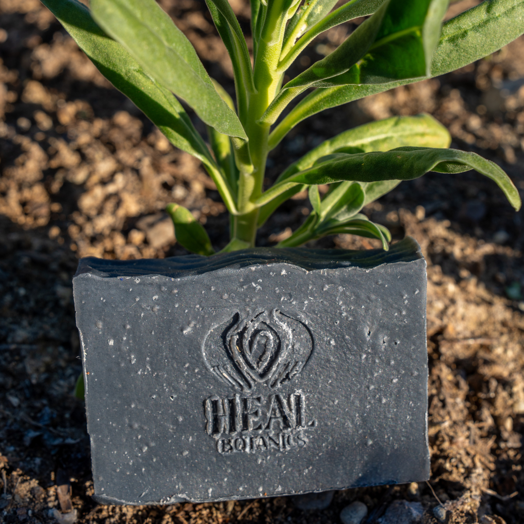 Charcoal + Tea Tree Soap