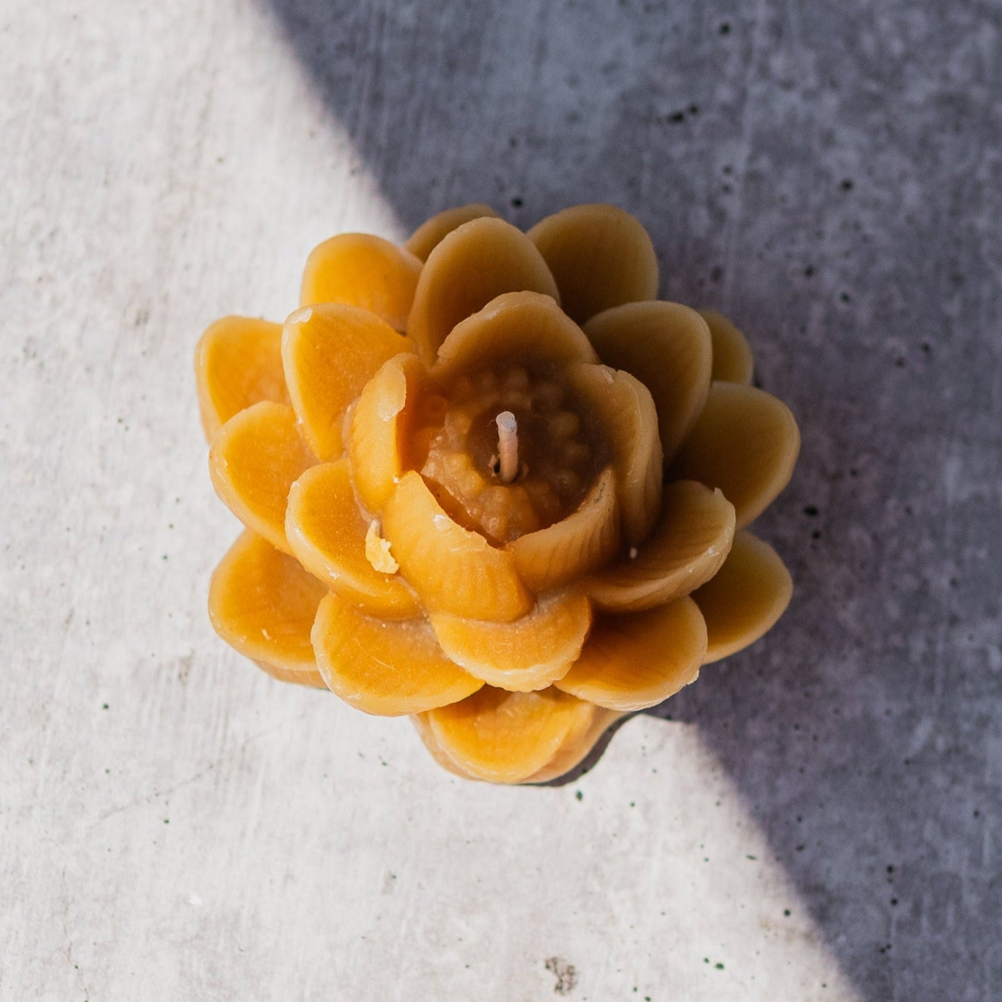 Beeswax Lotus Candle