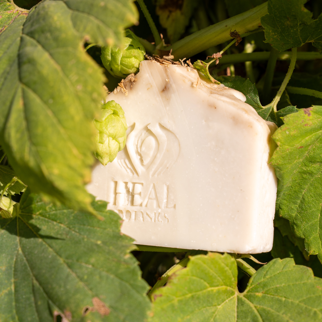Hops + Nettle Soap