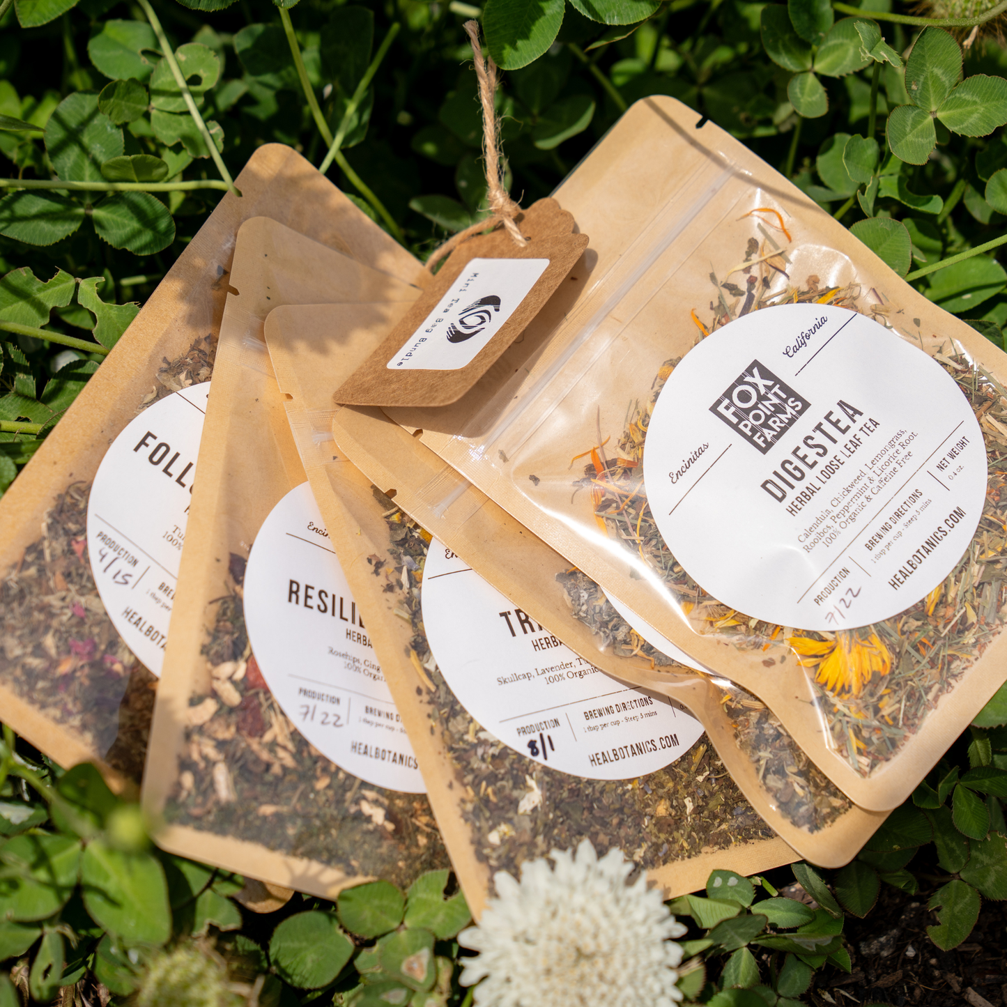 Mini Tea Variety Bundle