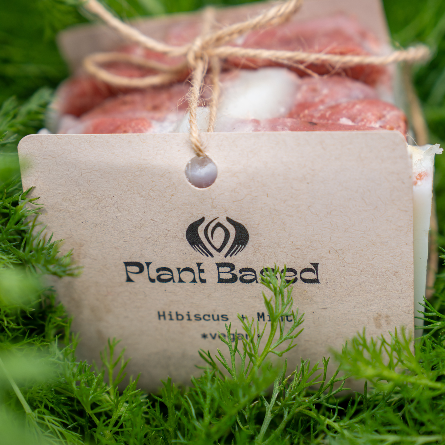 Plant Based Soap Bundle