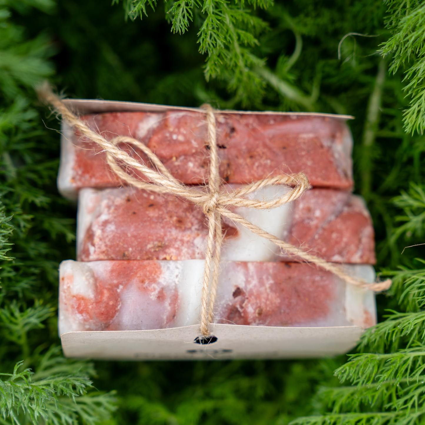 Plant Based Soap Bundle