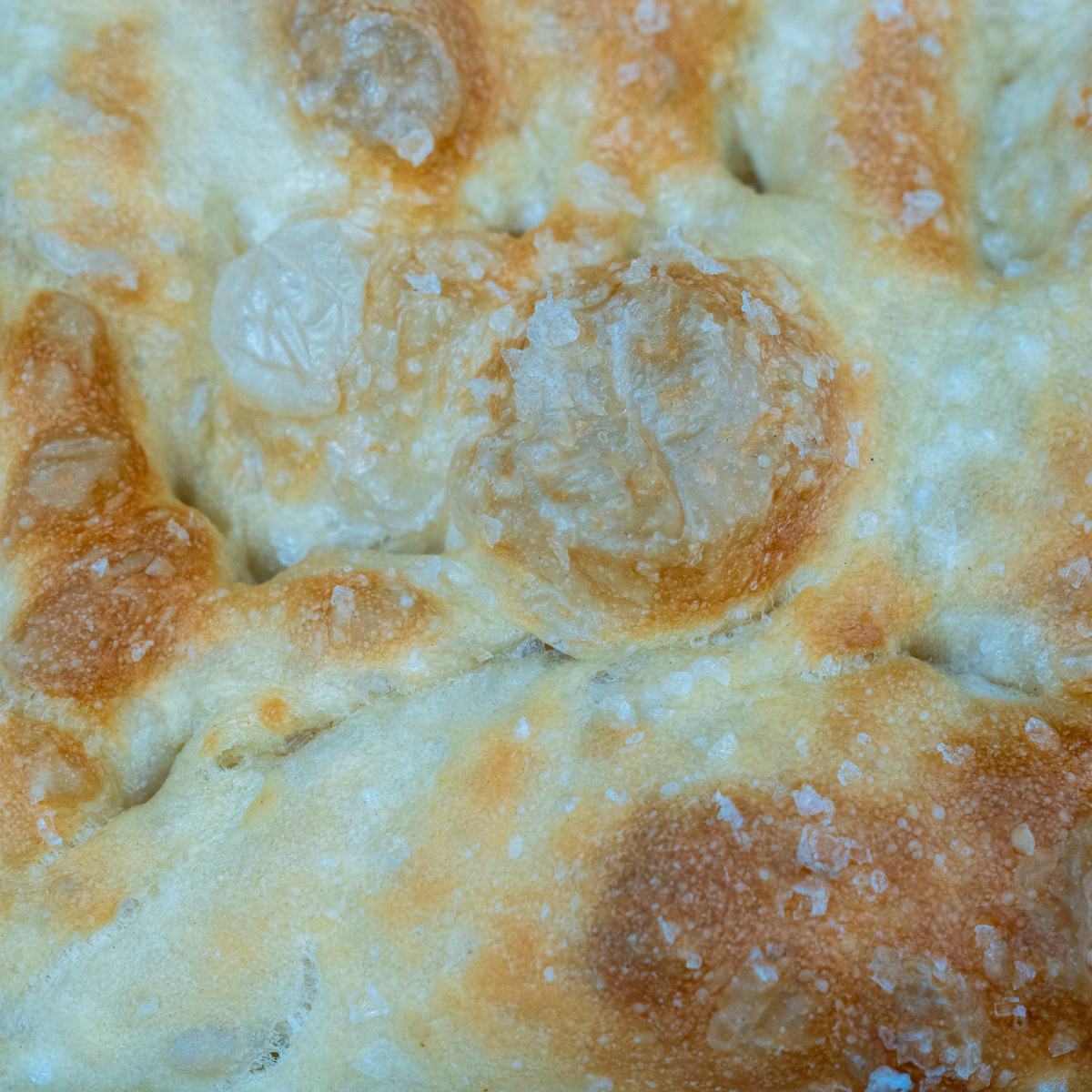 Fox Point Bakehouse Focaccia Kit: Maldon Salt
