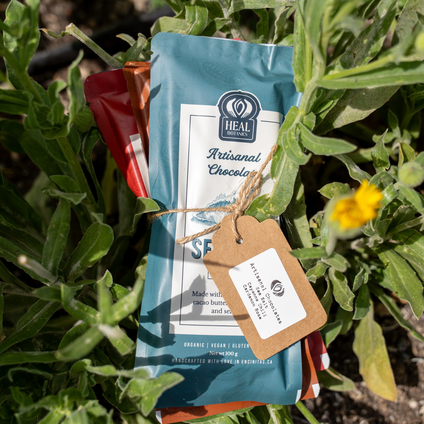 Artisan Chocolate Collection
