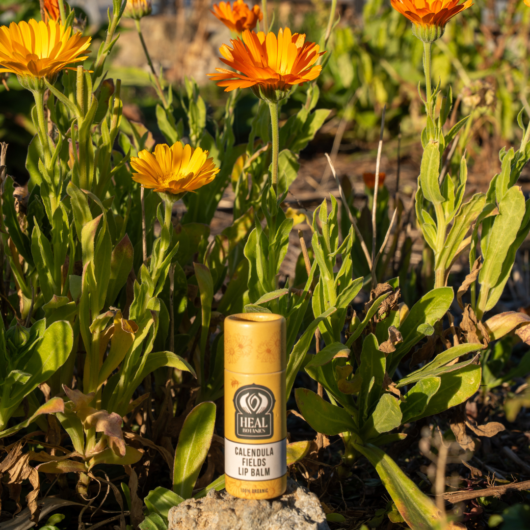 Calendula Fields Lip Balm