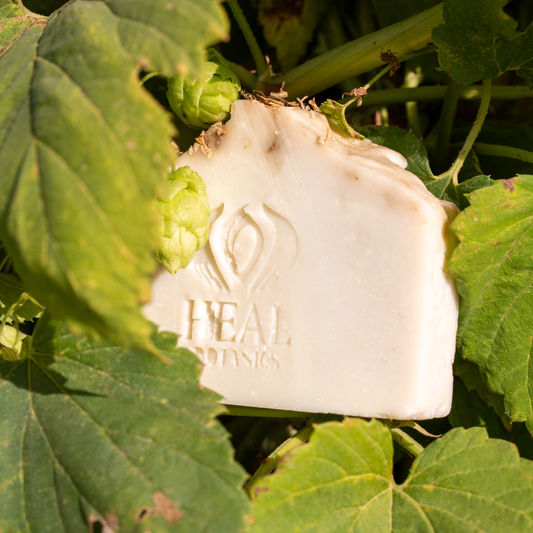 Hops + Nettle  Soap