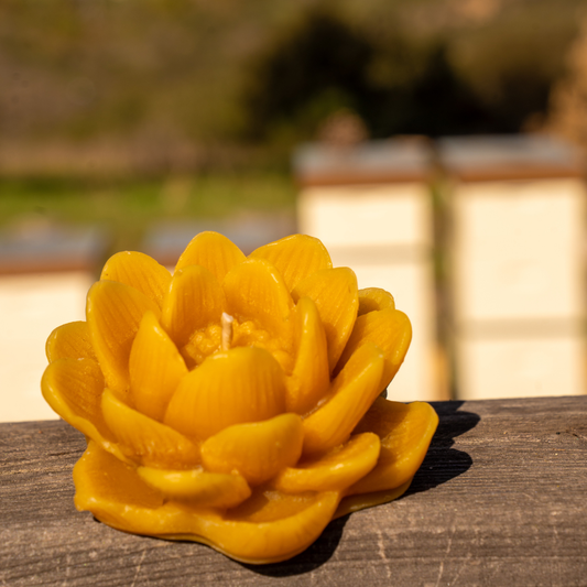 Beeswax Lotus Candle