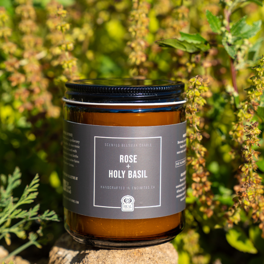 Rose + Holy Basil Candle