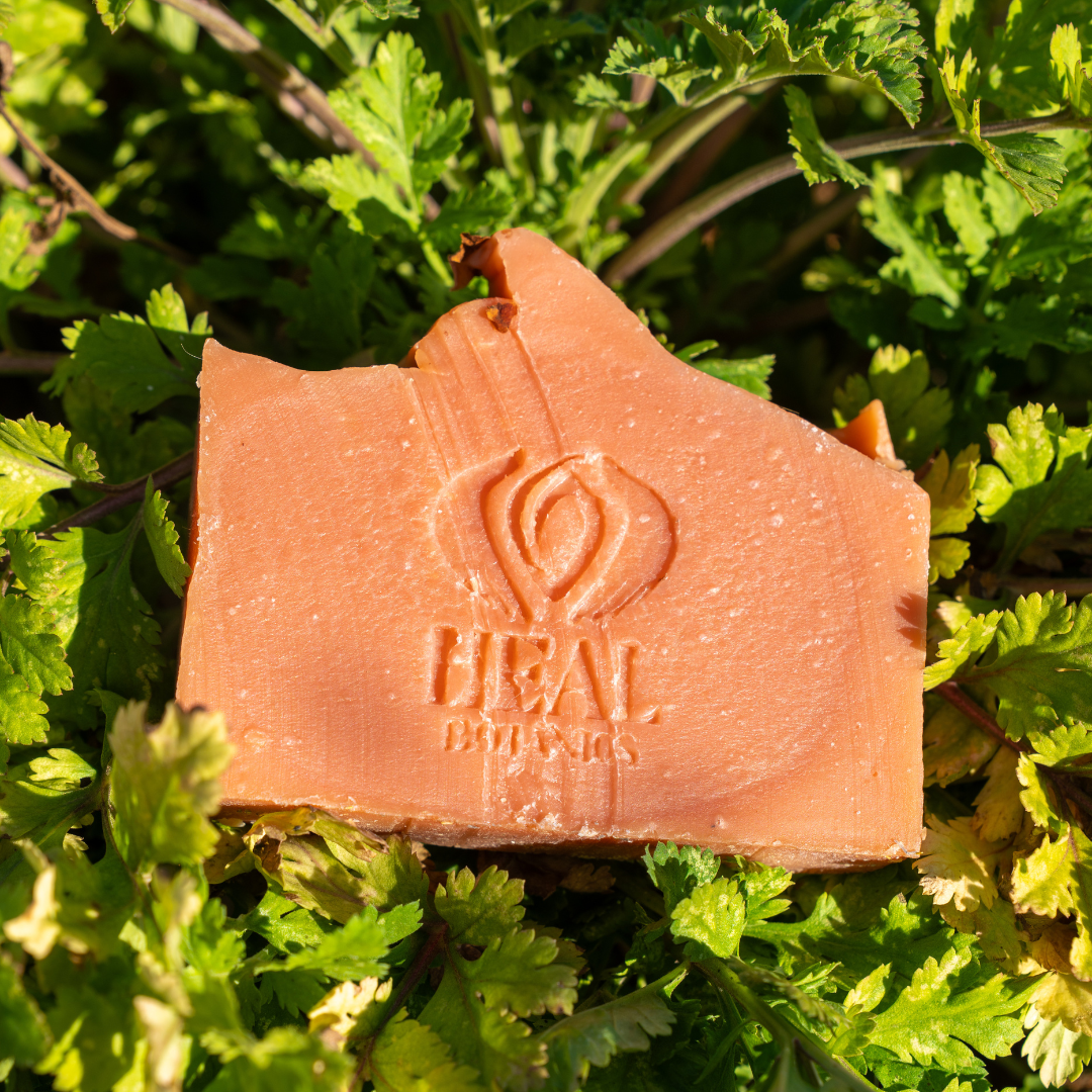 Natural & Botanical Soap Bundle