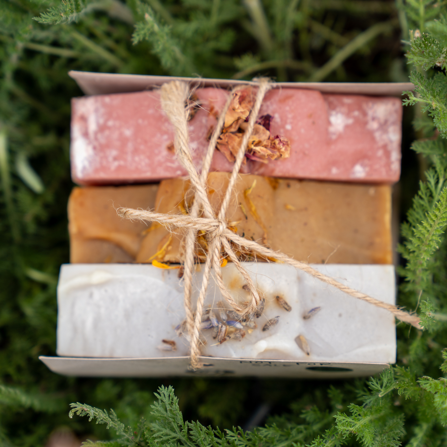 Natural & Botanical Soap Bundle