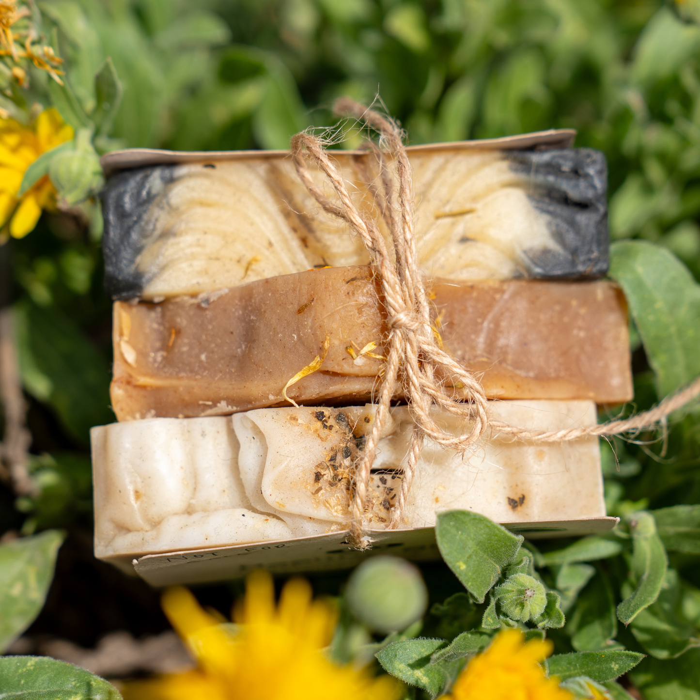 Healthy Skin Soap Bundle