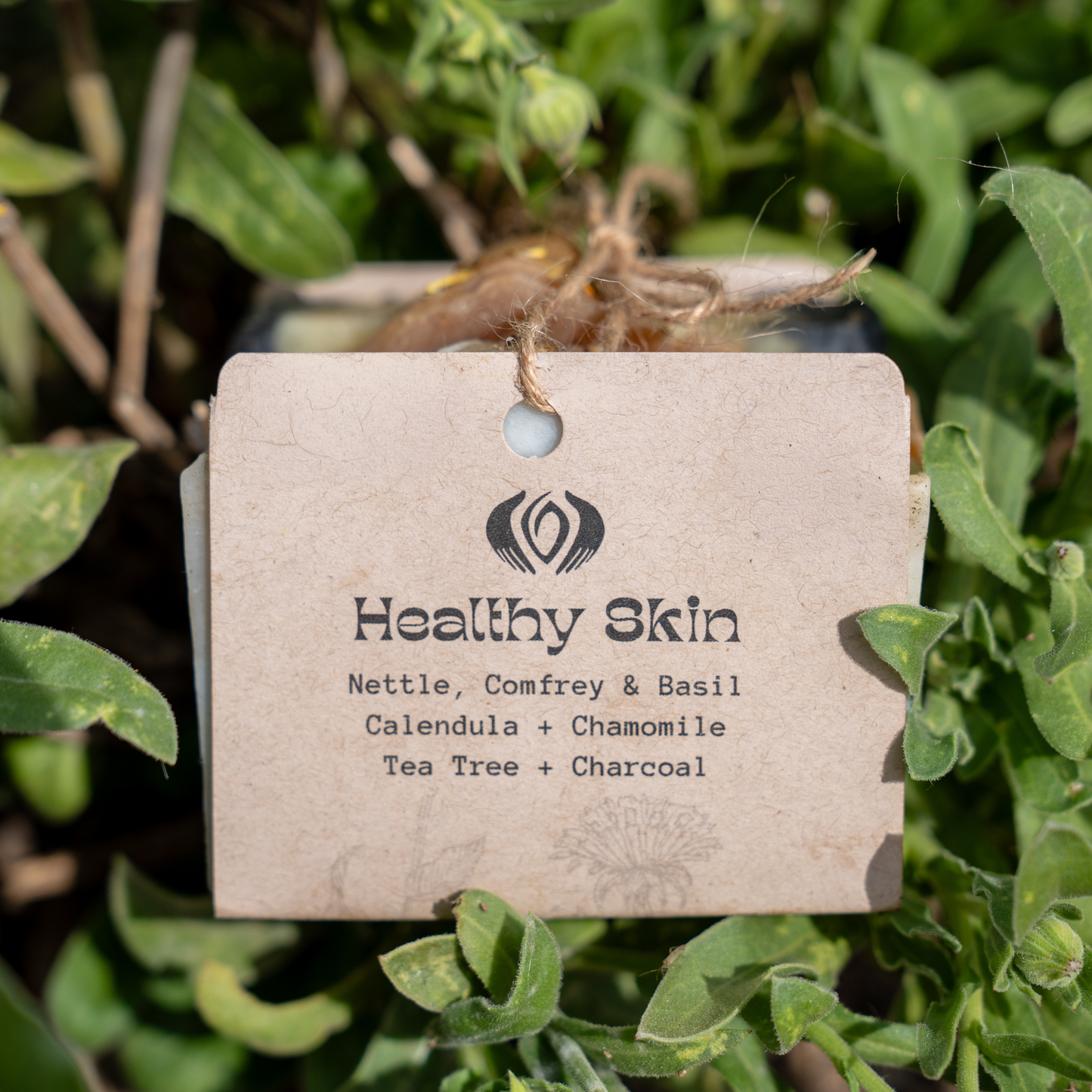 Healthy Skin Soap Bundle